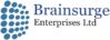 BrainSurge Enterprise Limited